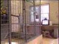 Primate Santuary