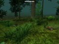 Gorax Hunt