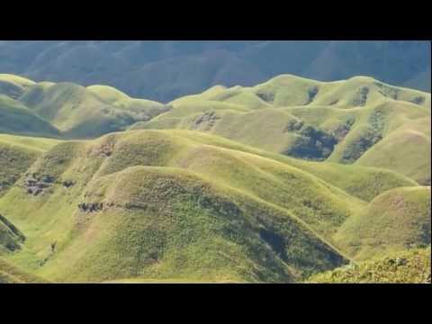 Kohima video