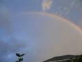 videos de Rainbow
