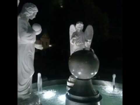 video-show