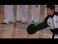 Scuola Taekwondo Twister Scuola Taekwondo Twister