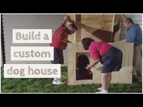 how to build dog house