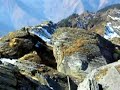 gaursan top at auli in uttaranchal