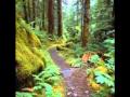 Walking in the Woods - Salterio
