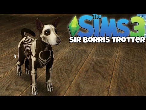 The Sims - Hello everybody! And welcome to my 'Sims 3' let's play! This is going to be a short series! But I hope you enjoy! Welcome to the life of 'Sir Fancy Borris Tr...