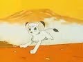 Kimba