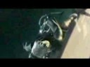 Kingdom Hearts- Animal I Have Become Kingdom Hearts- Animal I Have Become