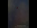 Paraglider unneland Paraglider unneland