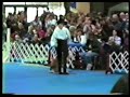 gotta dance! film features most famous dog duo in the world!