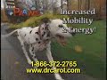 Pet Supplement offers a new leash on life for senior Pets Pet Supplement offers a new leash on life for senior Pets