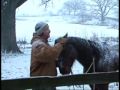 Quick Tips - From riding to the pasture Quick Tips - From riding to the pasture
