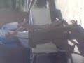 el cuacho del cebtis 78