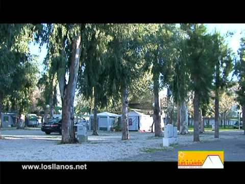 Camping los Llanos