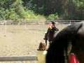 horse ride