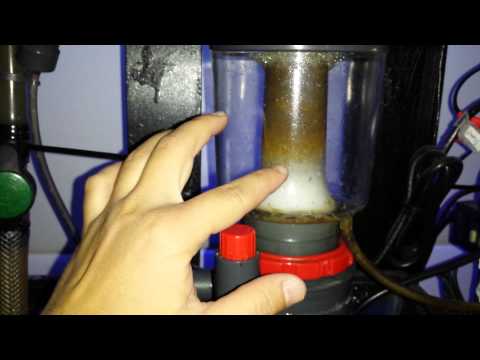 how to adjust protein skimmer