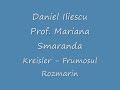 Kreisler-Frumosul-ro