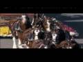 videos de Missouri Botanical Garden Float at the 2009 Rose Bowl Parade