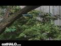 videos de best snipe ever