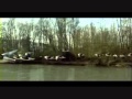 M. Ward - Wild Goose