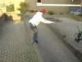 Free Runn Hoorn