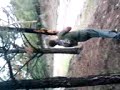 escuadron klonday - forest y el arbol de la barranca