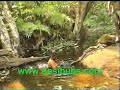 india news movies cricket finance telugu tamil kannada mallu | Kannada Movie Videos,kannada-movie-videos free online video