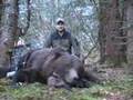 Brown Bear Bow Hunt