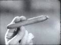 Vintage-1960-s-Cigar