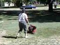 Crazy Woman Attacks Lawnmower Crazy Woman Attacks Lawnmower