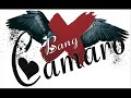 Pleasure (Pleasure) - Bang Camaro Pleasure (Pleasure) - Bang Camaro