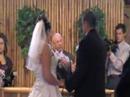Stephs Wedding