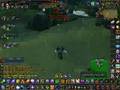39 Twink shaman ZOMG WINDFURY