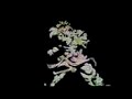 goku gohan goten kamehameha