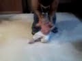 video 2