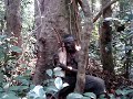 bwiti nganga in the forest
