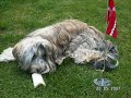 Bella-Lokhi 2007