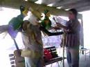 Tio Wolsey n�o se v�!!!
