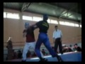 Amaterski kickbox