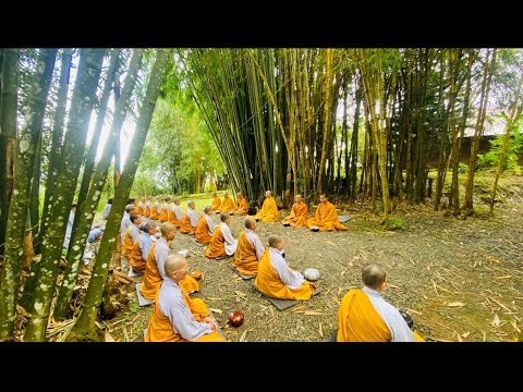 NIKAYA Khất Thực - Thanh Quy Đạo Tràng