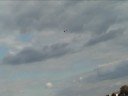  Super FP Honey Bee RC Helicopter