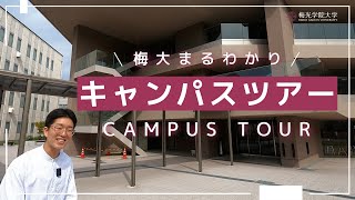 動画のサムネイル