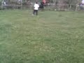 Mi Truji en las corralejas de La Estancia