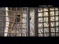 Bedshaped/Cosi