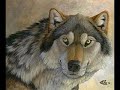 werewolves aren't what you think