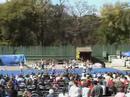BTW Hornets Perform at Frontier City Spirit Fest
