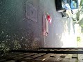 compil de saut de wrc