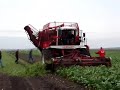 Suikerbiet oogst Sugar Beet harvest Trekkerweb