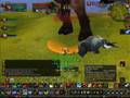 67 Blood Death Knight Solo Durn the Hungerer.wmv