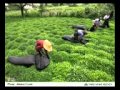 عجب گیلان قشنگه